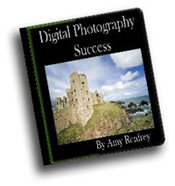 Digital Photography Success By Amy Renfrey