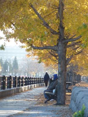 Sunny November in Montreal