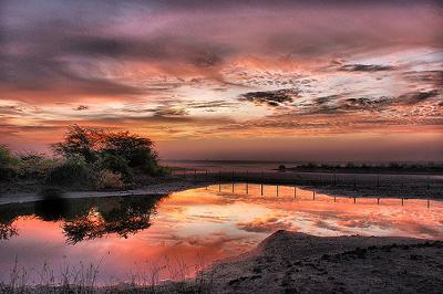 Dream Picture Of Khijadiya Bird Sanctuary Before Sunrise