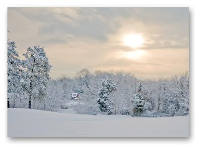 Beautiful Snow Covered Landscape