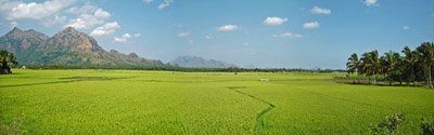 Beautiful Landscape Photograph Of Countryside Scenery